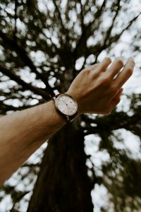 An arm with a watch on holding it against a background of a tall tree
